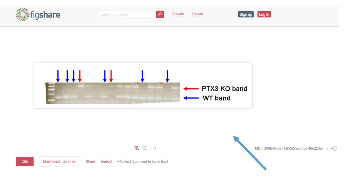 Image of how supplemental material will display on Figshare